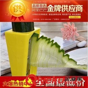 黃瓜美容器 201年火爆產(chǎn)品帶鏡子美容黃瓜切片器 切黃瓜片 美容刀 美容工具