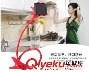 手機(jī)支架 暴利產(chǎn)品跑江湖地攤懶人手機(jī)支架床頭支架床頭手機(jī)支架特價批發(fā)原始圖片3