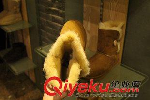 UGG5803羊毛 2015冬季新款 5803 女士經(jīng)典款紐扣中筒雪地靴 中幫zp羊毛女靴