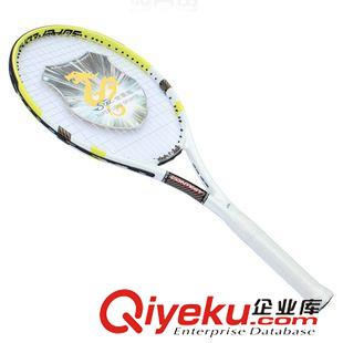 未分類 包郵送八 臺(tái)灣正品世霸龍 高級(jí)碳復(fù)合網(wǎng)球拍初學(xué)訓(xùn)練專用拍 8106原始圖片2