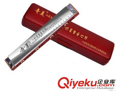 口琴系列 奇美牌24孔小明星重音口琴 學生開學 課堂教學 自學必備原始圖片2