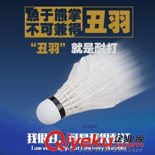 羽毛球拍 狂神丑羽羽毛球 廠家直銷 12只裝一桶原始圖片2