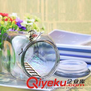 10月19號新品 爆款大號許愿瓶 透明玻璃星星瓶生日禮品 十元店貨源義烏精品批發(fā)原始圖片2
