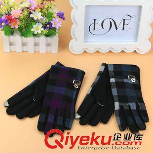 手套 廠家直銷韓版觸屏手套 冬季不倒絨保暖紐扣女士手套 10元店貨源