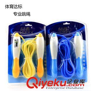 店鋪主推 羽毛球拍批發體育用品 運動健身器材 9元9 十元店 義烏貨源