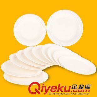 紙張類(lèi)白膜上色 白色紙盤(pán)子10個(gè)裝兒童手工繪畫(huà)粘貼涂鴉一次性幼兒園DIY材料批發(fā)原始圖片2