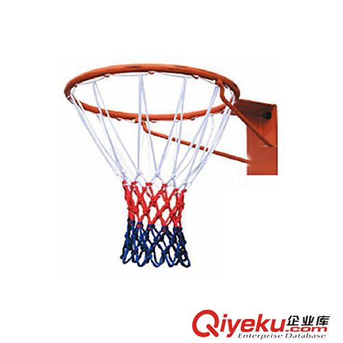 配件產品 威瑪斯  藍球網  藍球網廠家   藍網批發原始圖片2
