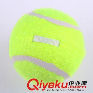 網(wǎng)球/網(wǎng)球拍 廠家直銷致歐單人帶皮筋繩gd訓(xùn)練網(wǎng)球可定做原始圖片2