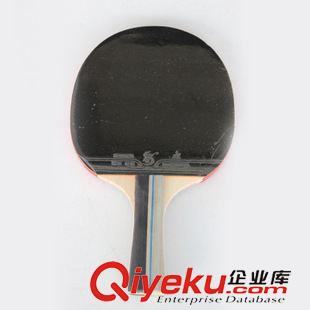 未分類 【熱銷】樹華一星乒乓球拍 雙面反膠 長短款  正品乒乓球拍原始圖片3