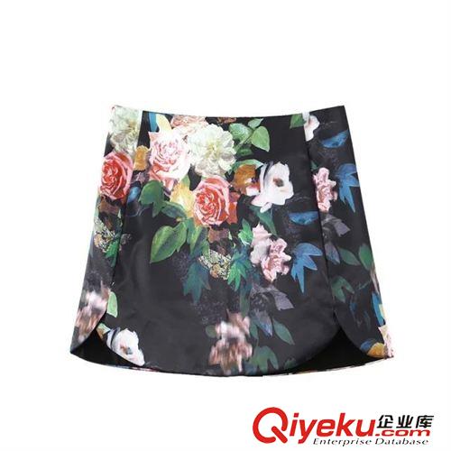 8.18新款 15秋裝新款 歐美風(fēng)T海報(bào)款數(shù)碼印花復(fù)古花朵半裙 包臀裙女原始圖片3