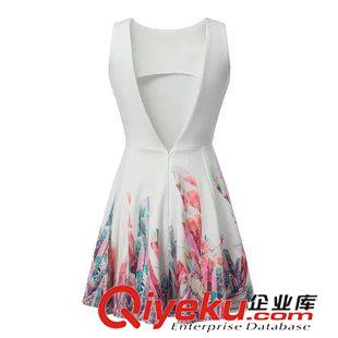 2015年4月16日上新 2015女裝新款歐美風(fēng)時(shí)尚定位印花后V大擺裙 連衣裙原始圖片2