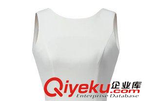 2015年4月16日上新 2015女裝新款歐美風(fēng)時(shí)尚定位印花后V大擺裙 連衣裙原始圖片3