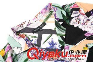 7.4新款 2015女裝新款歐美風(fēng)時(shí)尚印花七分袖連衣裙原始圖片3