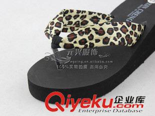 夏季拖鞋 新款春夏季爆款豹紋人字拖 綢緞坡跟沙灘拖鞋 厚底時(shí)尚涼拖鞋9003原始圖片2