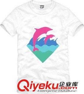 情侶短袖T恤 男女pink dolphin 南海岸 情侶款 同款海豚潮男嘻哈短袖T恤衫街頭