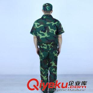 軍訓迷彩服套裝 廠家直銷 21林地短袖迷彩服套裝 夏季軍訓服套裝 軍迷服原始圖片3