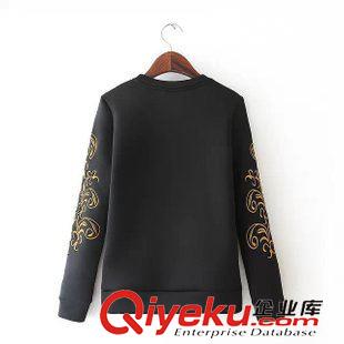 衛(wèi)衣 絨衣 供應(yīng)2015新品女裝 歐美風(fēng)專柜品質(zhì)圓領(lǐng)長袖全身刺繡款衛(wèi)衣原始圖片2