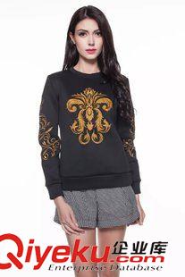 衛(wèi)衣 絨衣 供應(yīng)2015新品女裝 歐美風(fēng)專柜品質(zhì)圓領(lǐng)長(zhǎng)袖全身刺繡款衛(wèi)衣原始圖片2