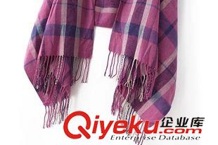 原單貨 XYY秋冬經(jīng)典女士英倫風(fēng)格子流蘇仿羊絨披肩保暖圍巾女款格子圍巾原始圖片3