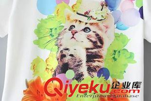 T恤/打底衫 2015夏季新款歐美風嗆口小辣椒同款花貓清新短袖T恤原始圖片3