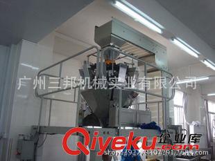 顆粒固體定量分裝 瓜子包裝生產設備 中藥材定量充填包裝機 干果包裝機原始圖片2