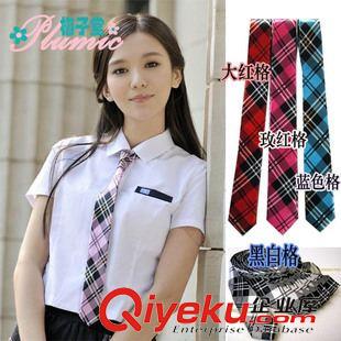 領(lǐng)帶 專業(yè)生產(chǎn)學(xué)校學(xué)生領(lǐng)帶 企業(yè)訂制LOGO出口領(lǐng)帶原始圖片3
