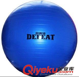 小型健身器材 廠家直銷 瑜伽球批發(fā) 瑜伽球加厚防爆65cm 減肥健身球 送打氣筒原始圖片2