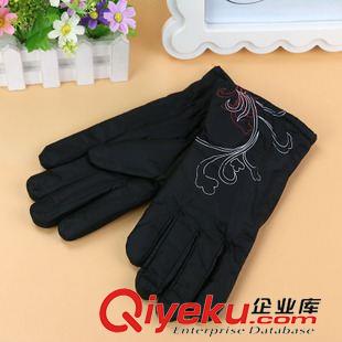 10月3號(hào)新品 廠家直銷女士印花棉手套 冬季騎行滑雪防風(fēng)保暖手套 10元店貨源原始圖片3