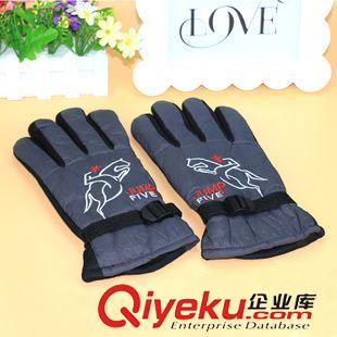 手套 冬季男士騎行手套 戶外運動耐磨防滑手套 十元店貨 義烏批發(fā)原始圖片2