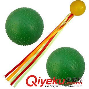 武術(shù)太極 單個(gè) zp太極柔力球 綠色塑料球 黃色彩球 揉力球原始圖片3