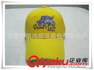 棒球帽子 Baseball caps 定制時尚優質 刺繡花棒球帽 運動帽休閑帽 廠家直銷 東莞廠家