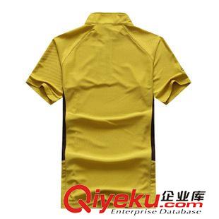 立領T恤 廠家訂制男士短袖立領t恤衫 男式登山騎行速干吸濕t恤 衫訂做原始圖片2