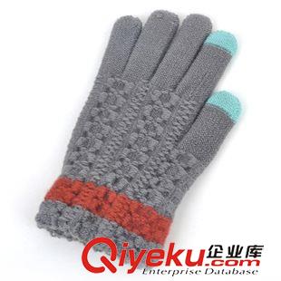 訂做手套 廠家直銷手套 冬季保曖男女五指觸摸屏手套 低價批發(fā)外貿(mào)來樣訂做原始圖片2