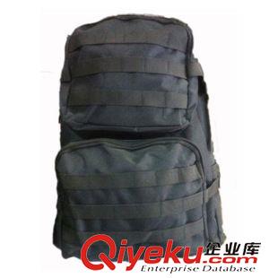 戶外時(shí)尚雙肩背包 休閑運(yùn)動(dòng)包直銷 休閑運(yùn)動(dòng)包 軍迷騎行背包 3P攻擊背包 戰(zhàn)術(shù)背包原始圖片2