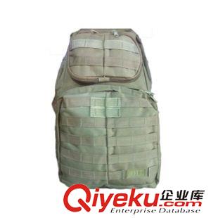 戶外時(shí)尚雙肩背包 休閑運(yùn)動(dòng)包直銷 休閑運(yùn)動(dòng)包 軍迷騎行背包 3P攻擊背包 戰(zhàn)術(shù)背包原始圖片3