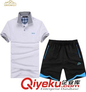 運動套裝 2015新品夏季短袖運動套裝男 品牌男式翻領(lǐng)t恤男士休閑運動短褲潮原始圖片2