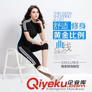 4月20號 2015夏季新款時尚衛(wèi)衣女兩件套簡約運動衣休閑短袖套裝女原始圖片2