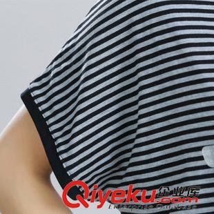 六月新款 2015女裝夏季新款胖MM寬松顯瘦蝙蝠袖條紋T恤原始圖片3