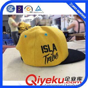 嘻哈帽 羊毛平板嘻哈帽  椰樹海灘logo嘻哈帽 20年帽廠定做秋冬嘻哈帽原始圖片2