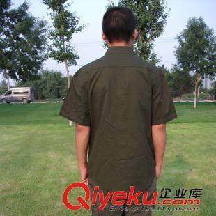 制服 廠家直銷 優(yōu)質(zhì)純棉透氣舒適半袖襯衣  夏季外軍綠軍迷服