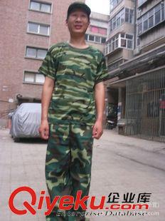 軍訓T恤/背心 批量供應 夏季學生休閑迷彩軍訓服 休閑寬松型工作服 迷彩服原始圖片2