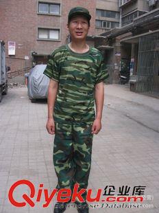 軍訓T恤/背心 批量供應 夏季學生休閑迷彩軍訓服 休閑寬松型工作服 迷彩服原始圖片3