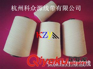 滌綸kj縫紉線 kj吸濕排汗紗線 kj紗 銀離子kj 耐洗滌 SEK認證 國際環(huán)保原始圖片3