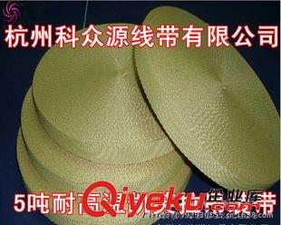 芳綸耐高溫織帶 供應耐高溫環眼型吊裝帶  雙扣防火阻燃吊帶 芳綸纖維耐高溫織帶原始圖片2