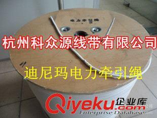 大力馬繩（威亞繩  牽引繩） 超高分子量聚乙烯纖維繩 3MM大力馬繩子原始圖片2