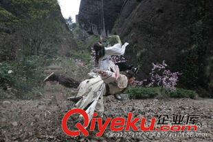 大力馬繩（威亞繩  牽引繩） 浙江威亞繩廠家低價供應PE編織繩影視威亞繩 安全護欄繩 繩原始圖片3