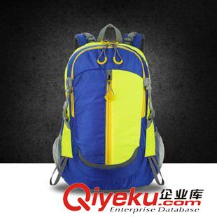 戶外登山包 批發公版雙肩背包新款男女30L通用防水戶外運動登山包BB-434A