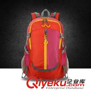 戶外登山包 批發公版雙肩背包新款男女30L通用防水戶外運動登山包BB-434A