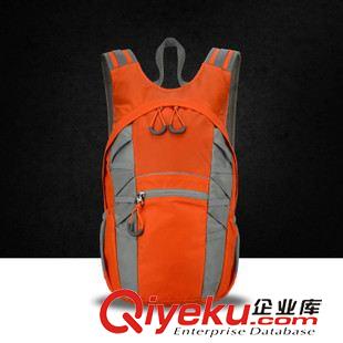 戶外登山包 公版批發(fā)20L新款運動戶外包防水多功能男女背包雙肩休閑包BB-429原始圖片2