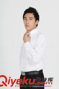 襯衫 上海定做職業(yè)裝襯衫/定做西裝.襯衫/男式襯衫生產(chǎn)廠家原始圖片3
